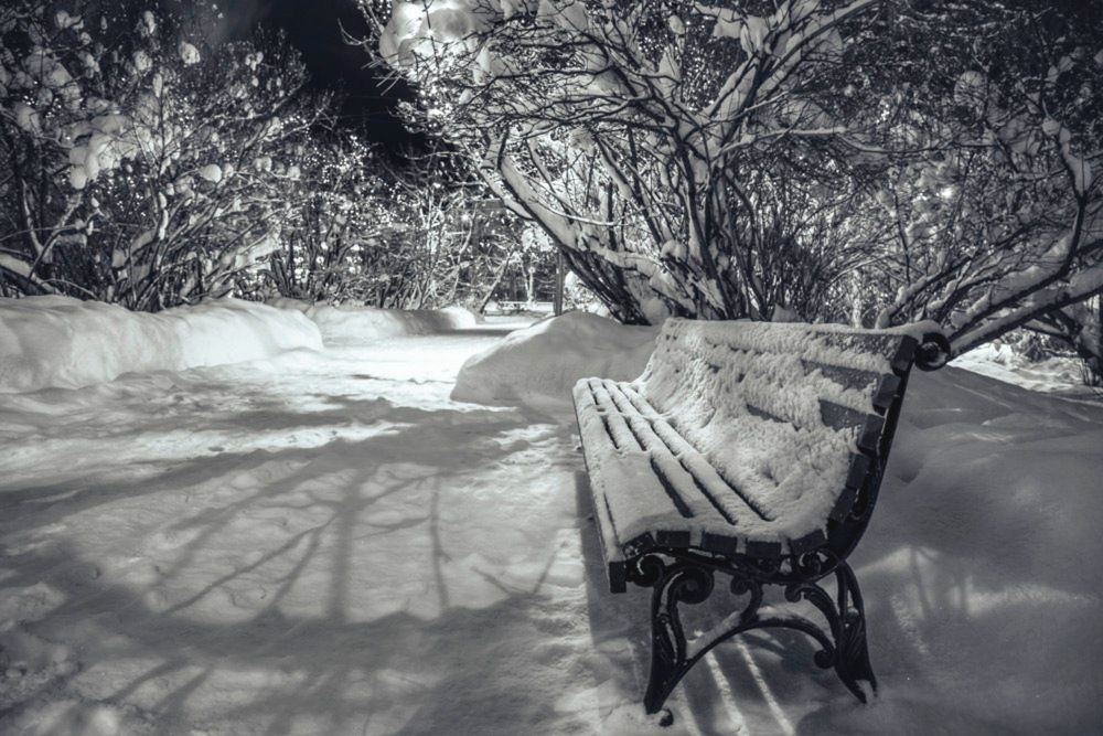 Photograph by Екатерина Сорока