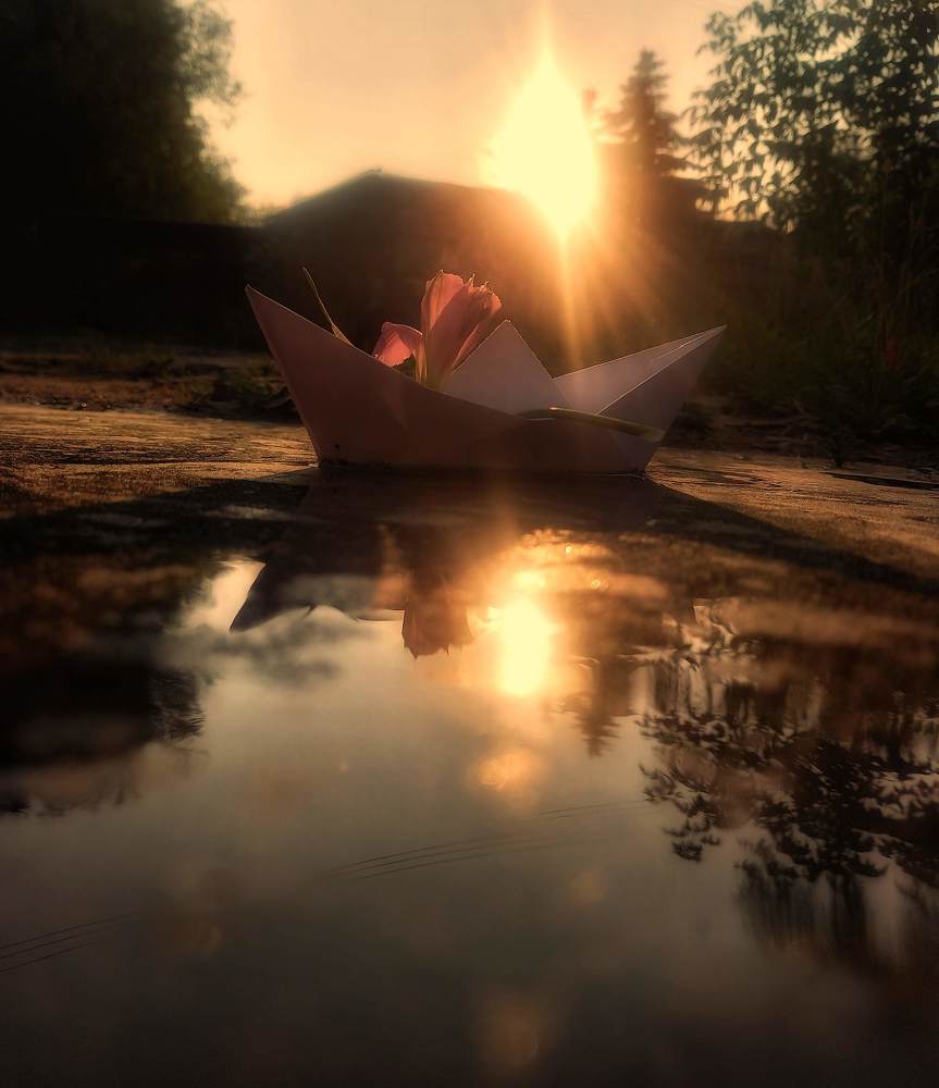 Photograph by Ольга Ревина