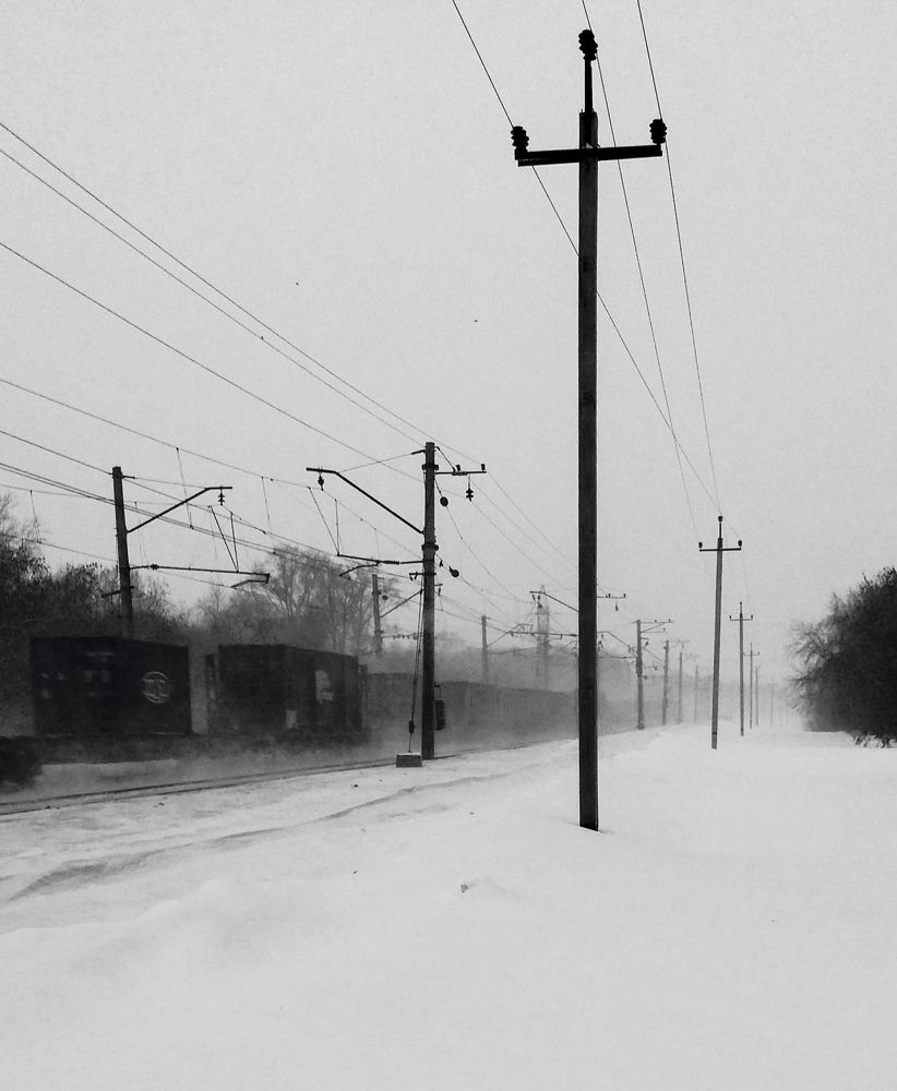 Фотография автора Максим Грибанов