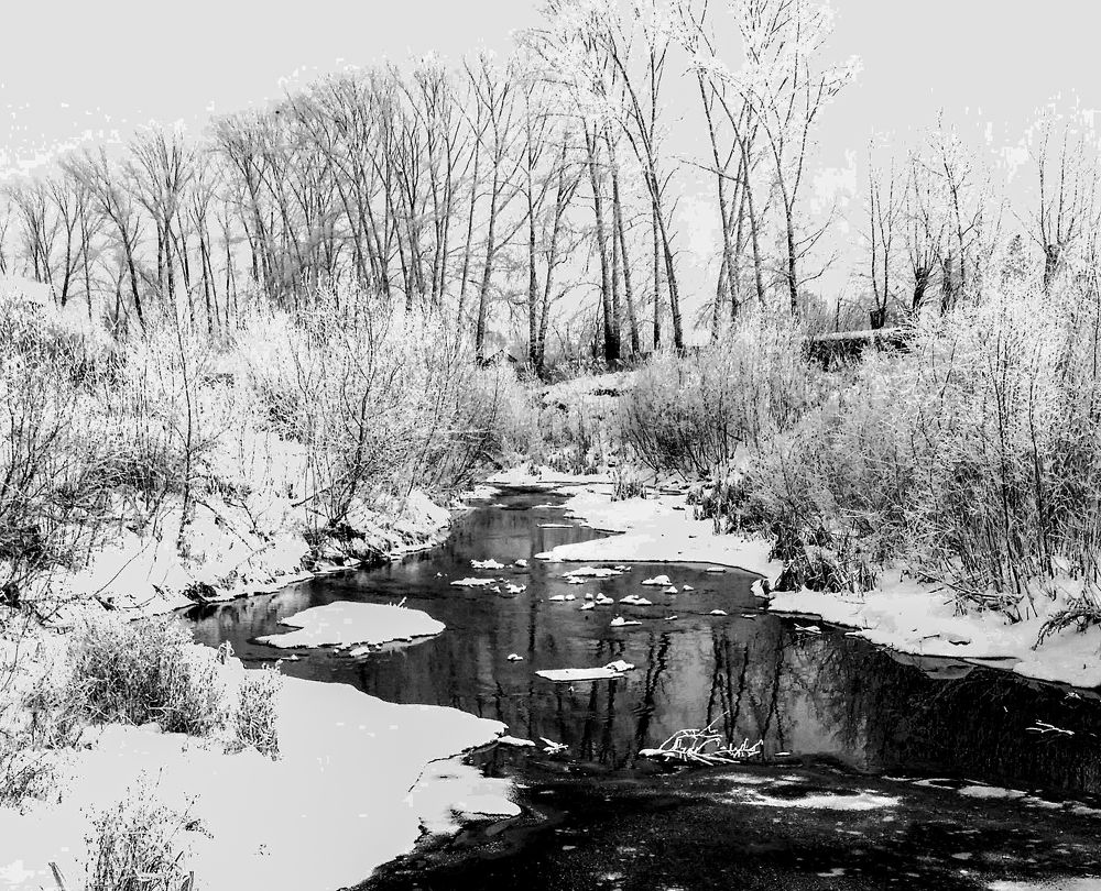 Фотография автора Максим Грибанов