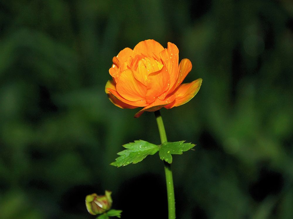 Photograph by Юрий Тимофеев