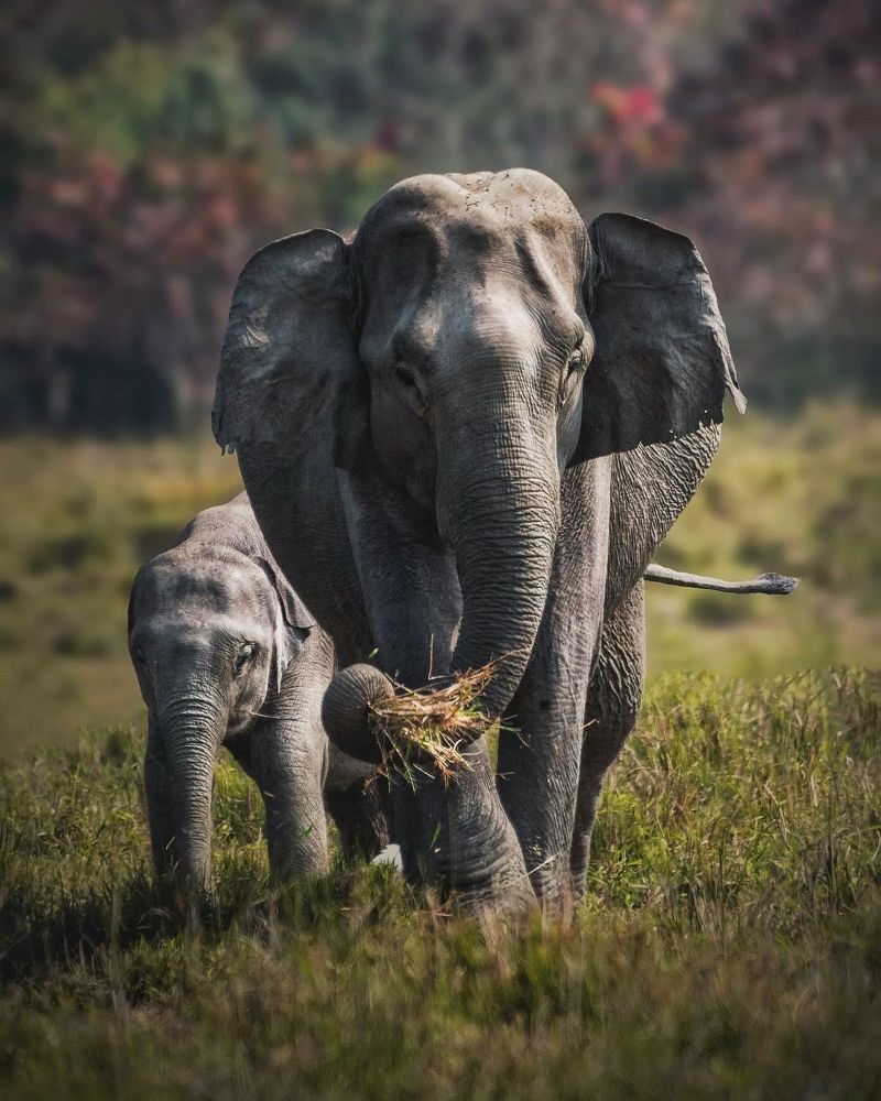 A Mother's Care :- one of the most precious thing
