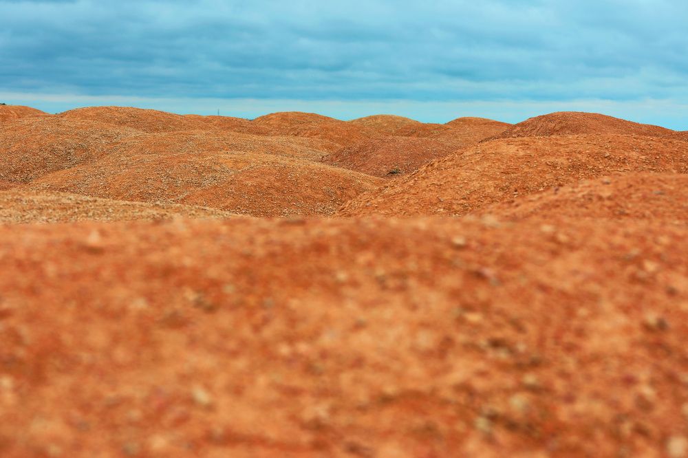 Photograph by Владимир Грибков