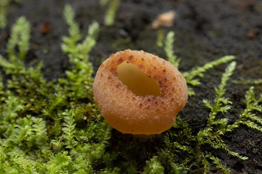 Photograph by Евгения Севрюкова