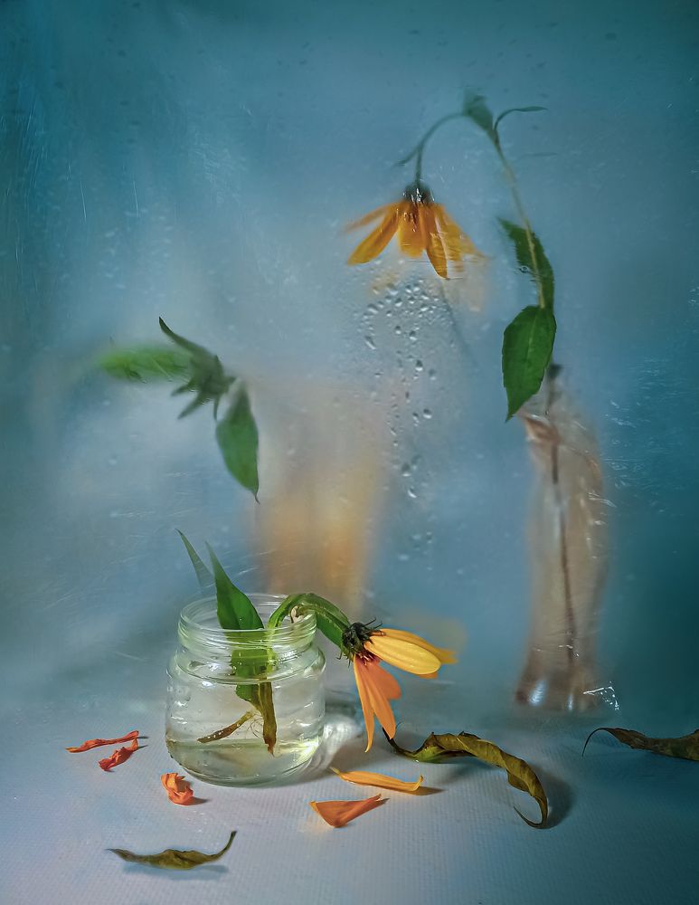 Осень. Увядание...