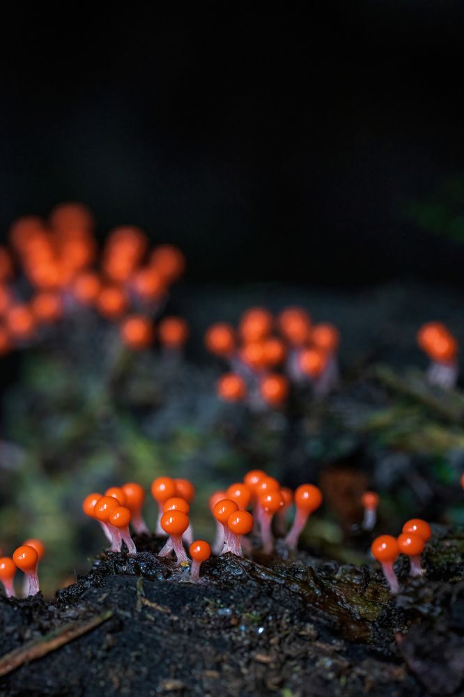 Photograph by Евгения Севрюкова