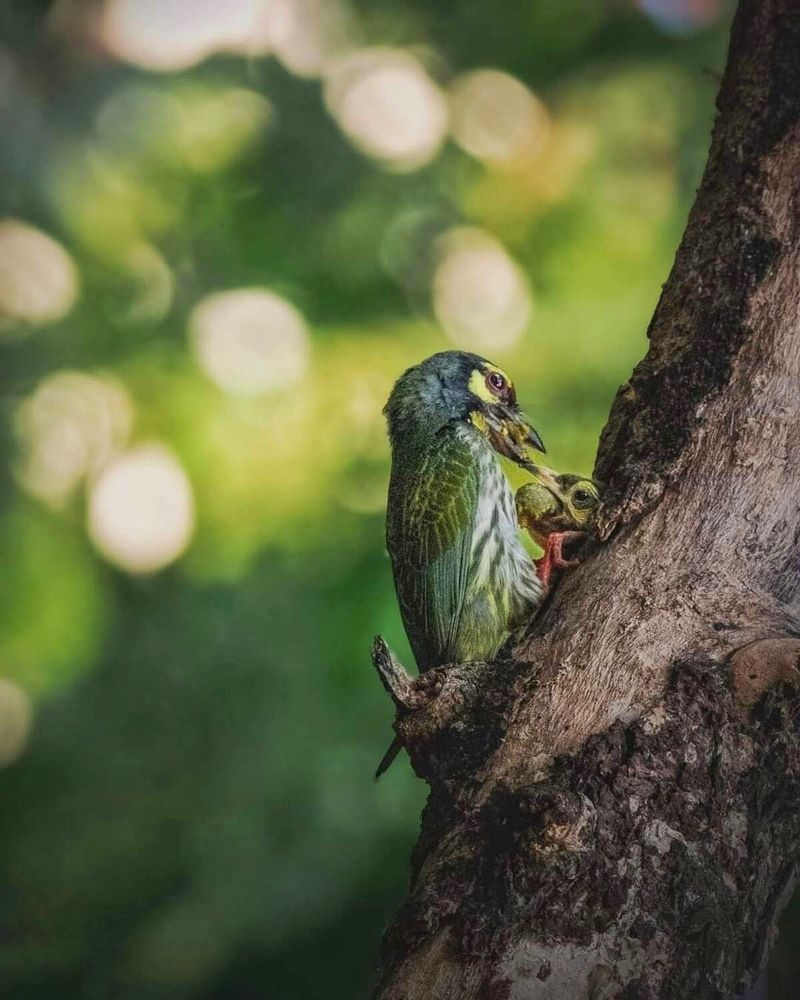 It's feeding time !!!