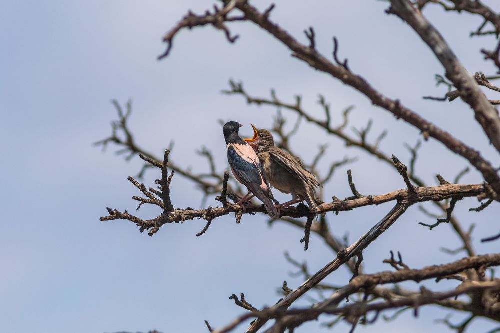 Photograph by Евгения Севрюкова