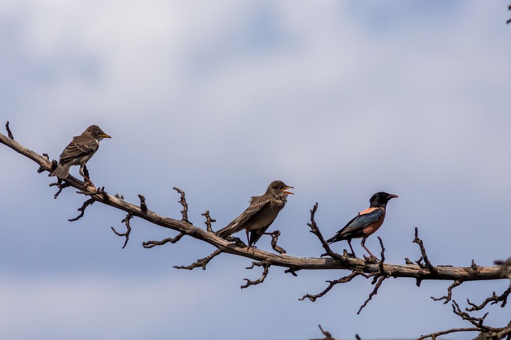 Photograph by Евгения Севрюкова