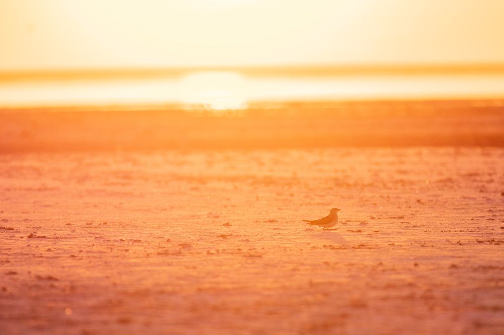 Photograph by Евгения Севрюкова