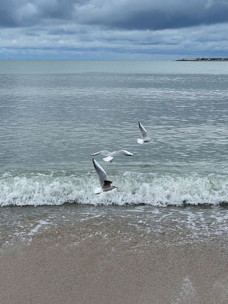 Photograph by Татьяна