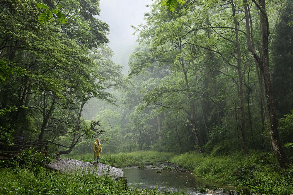 Photograph by Наталья Суслова