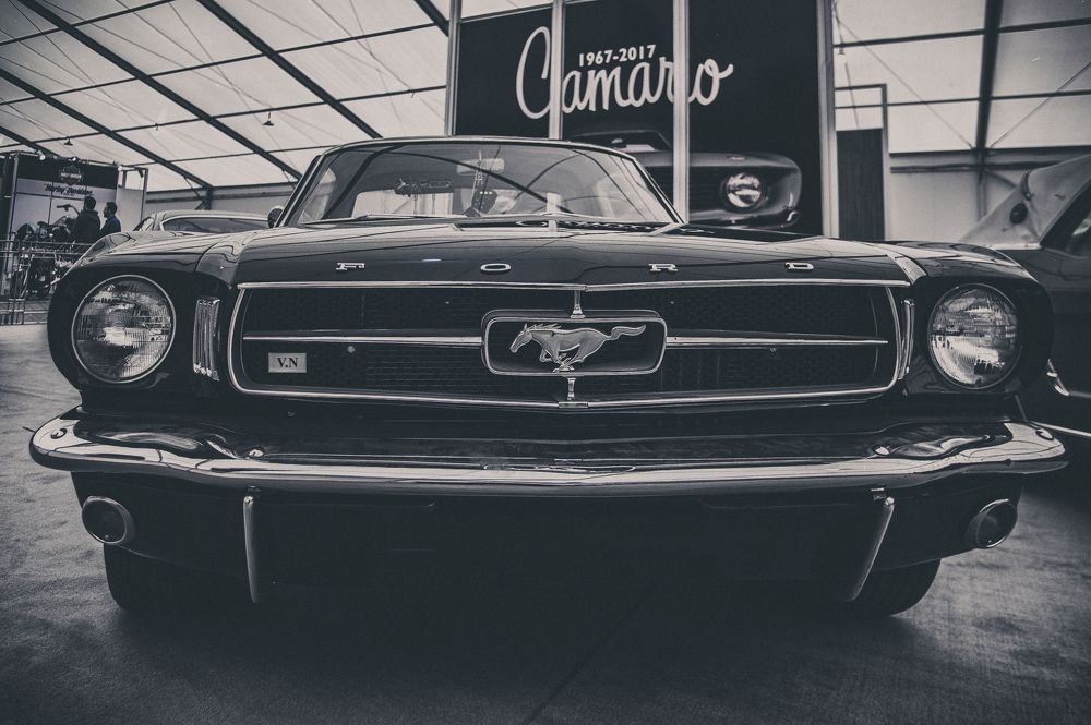 Photograph by DAMOUN POURNEMATI