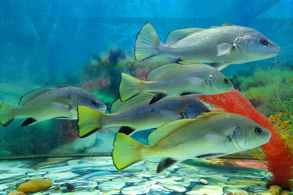 Photograph by Ольга Березовская