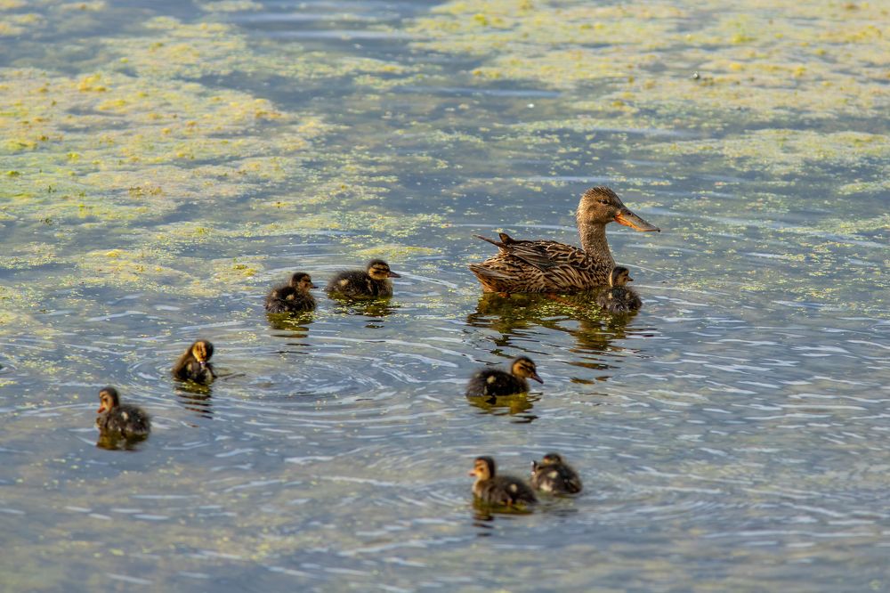 Photograph by Евгения Севрюкова