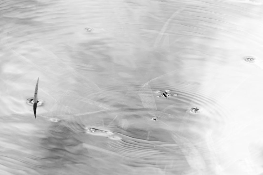 Photograph by Евгения Севрюкова