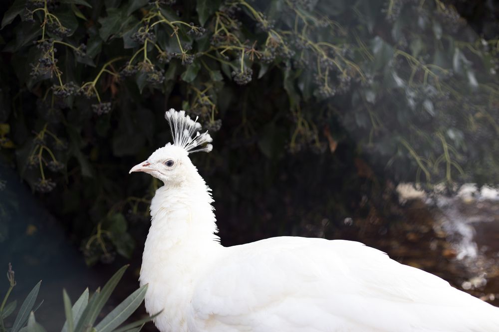 Photograph by Анастасия Сумарокова