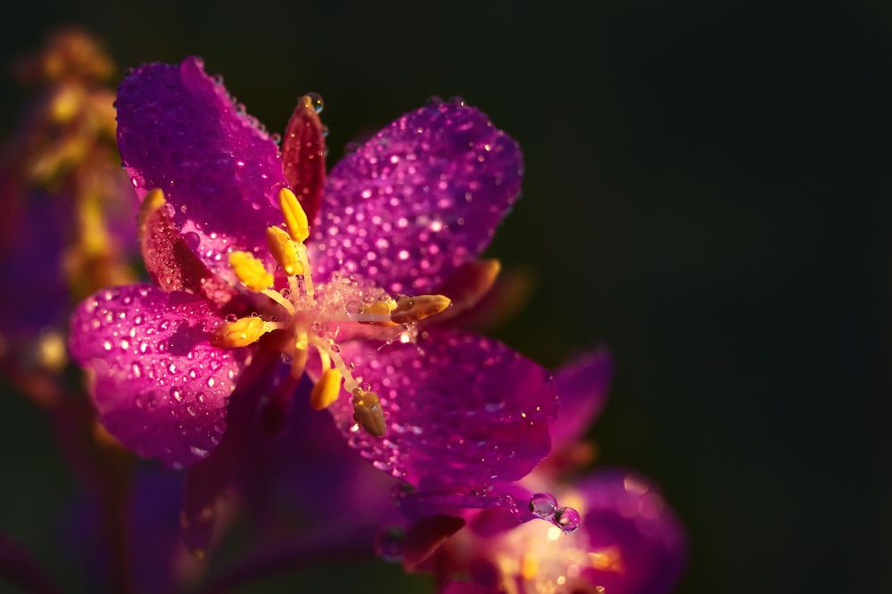 Photograph by Александр Слепцов