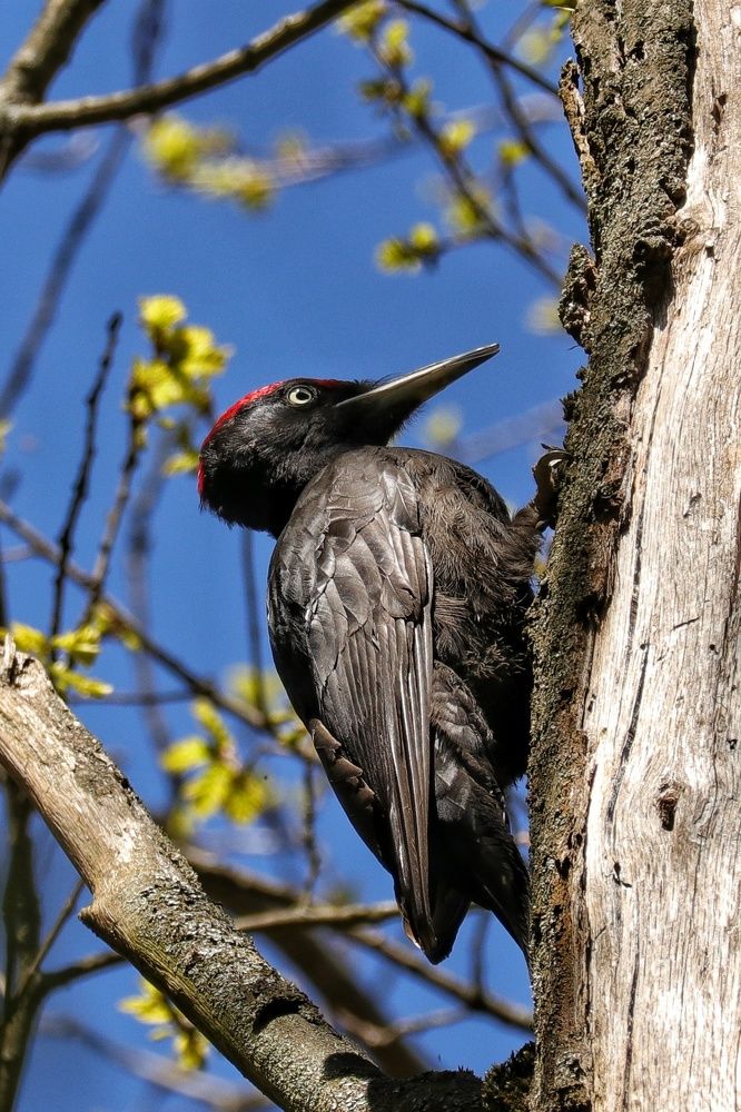 Photograph by Наталья Гайдукевич