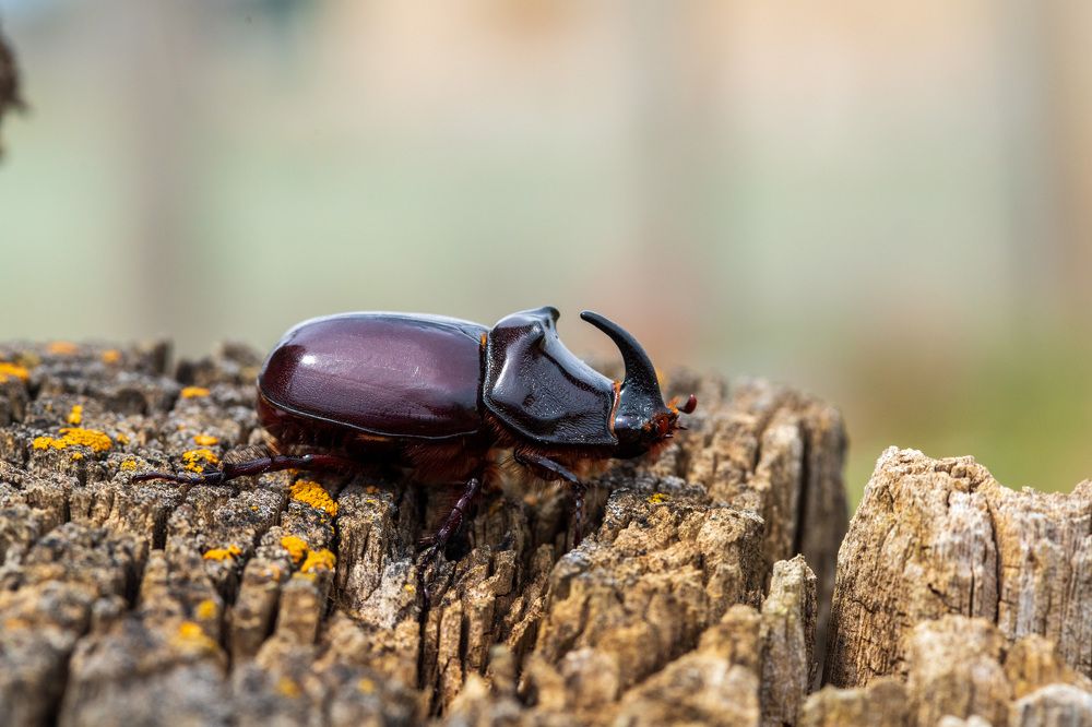 Photograph by Evgenia Sevryukova