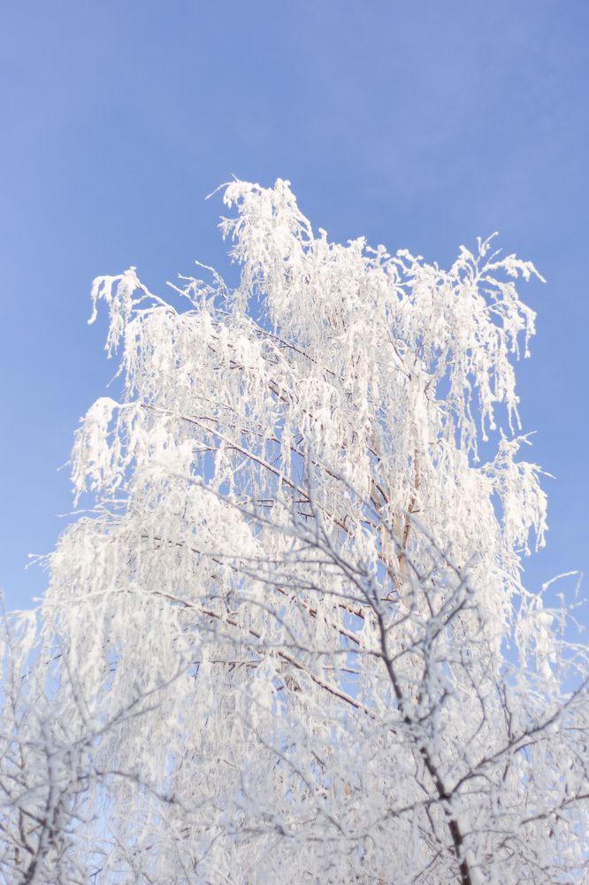 Photograph by Валерия