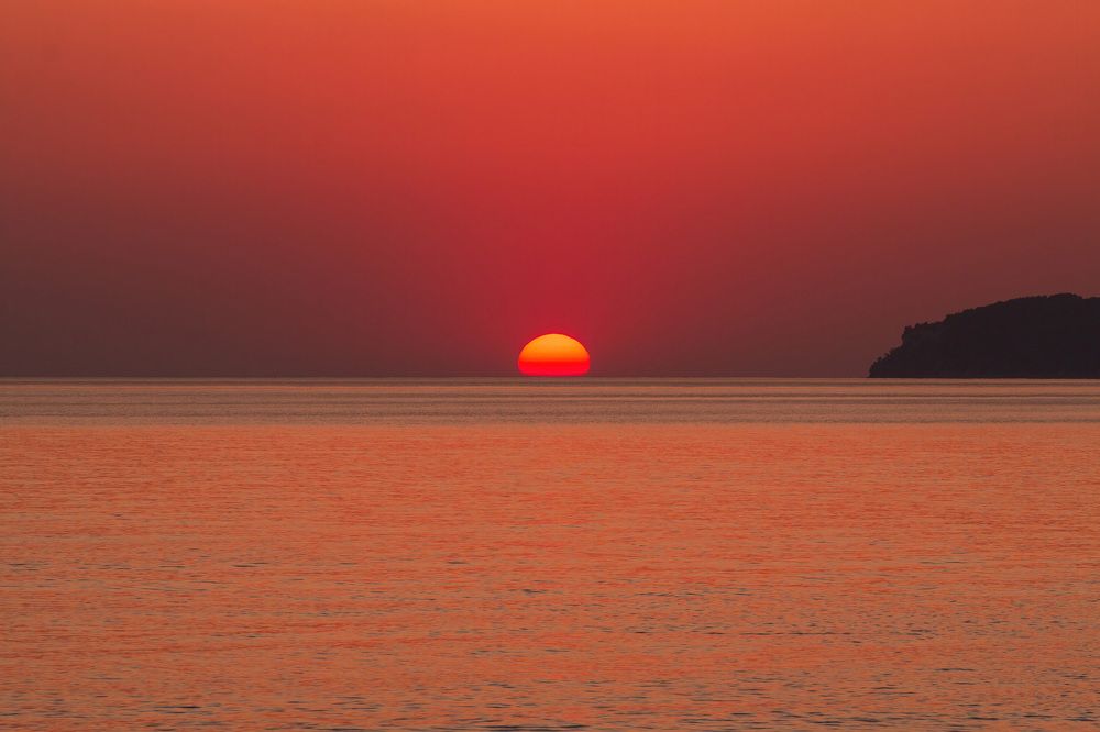 Photograph by Алексей Чеботарев