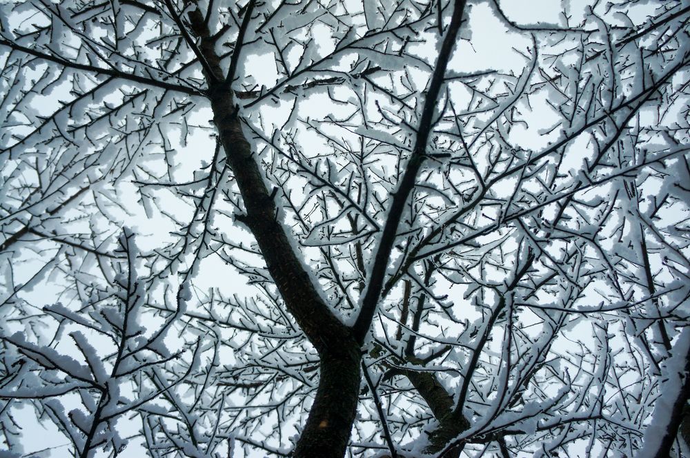 Photograph by Олег