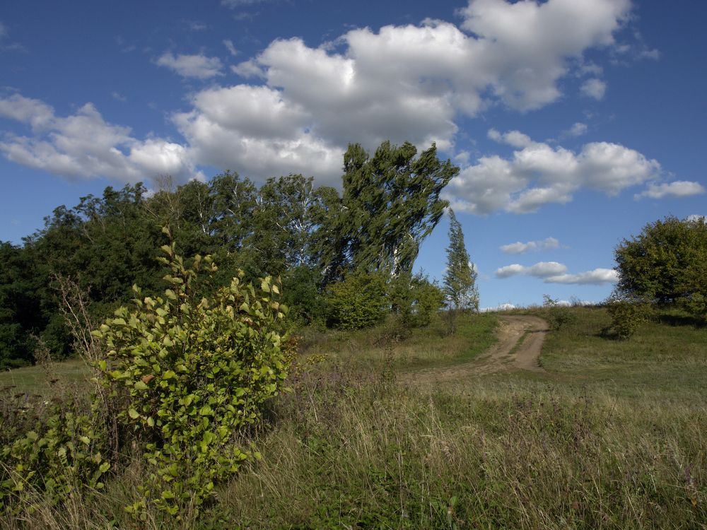 Photograph by Игорь Шевердин