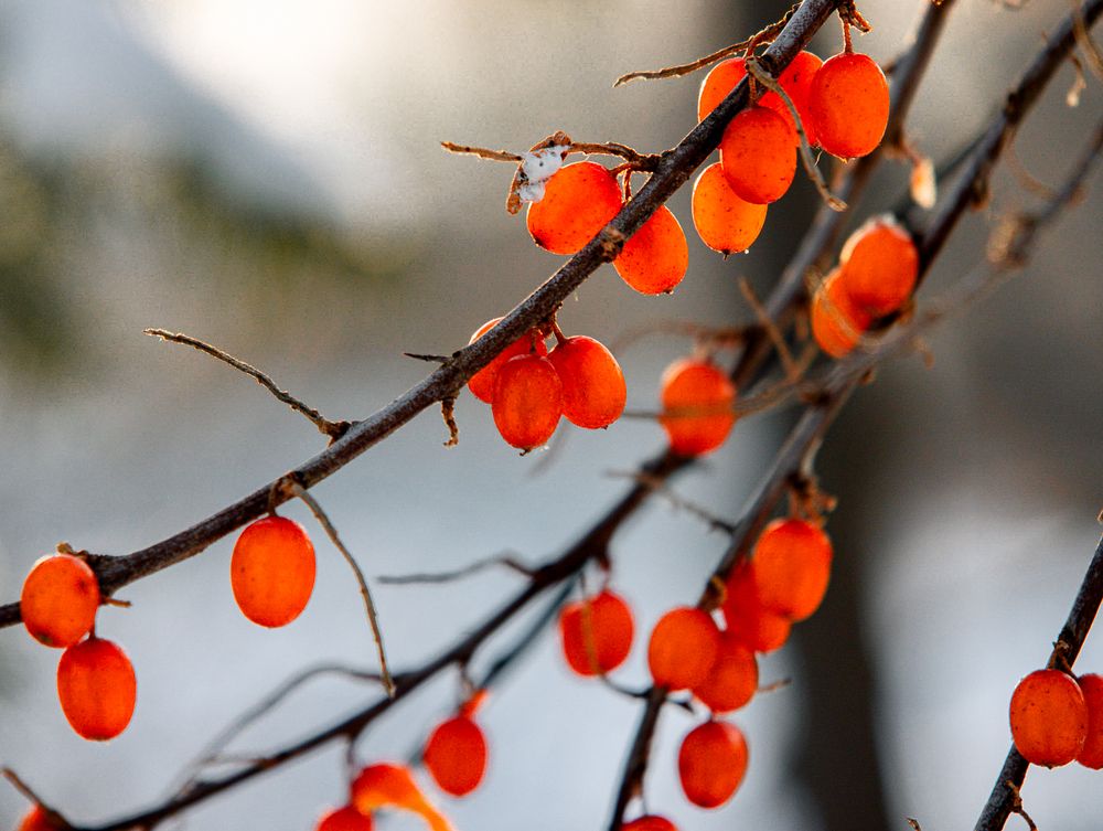 Photograph by Кермен Манджиева