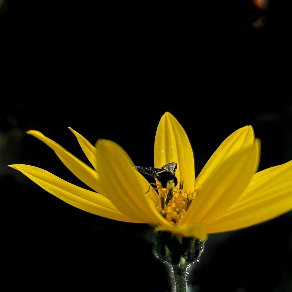 Photograph by Юрий Полушин