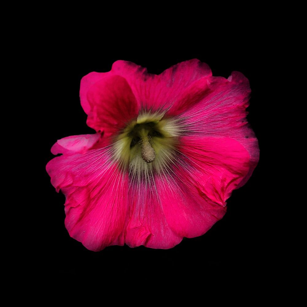 Photograph by 