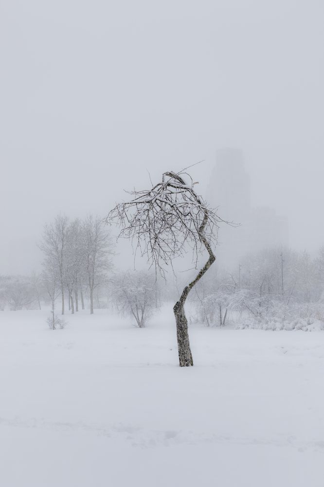 Photograph by Юлия Куликова