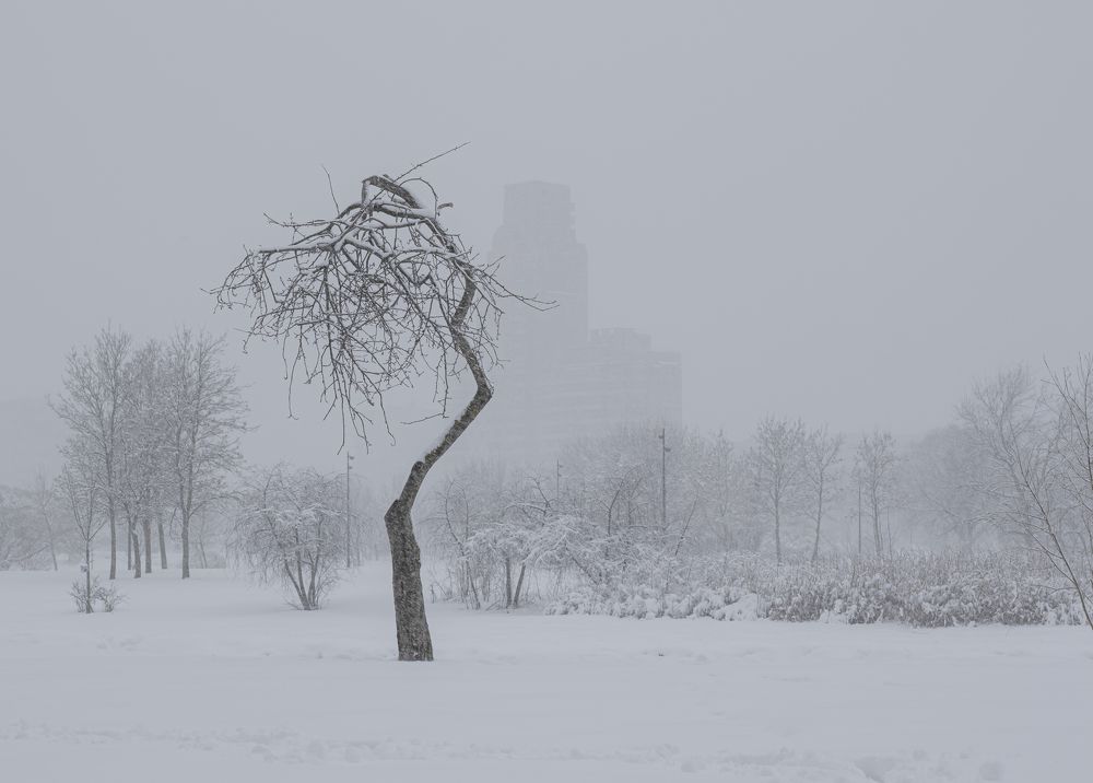 Photograph by Юлия Куликова