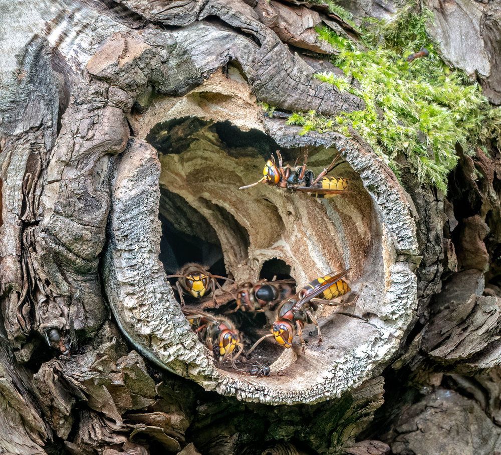 Photograph by Viktor Makarov