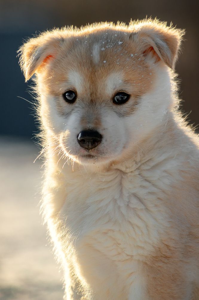 Photograph by Александр Слепцов