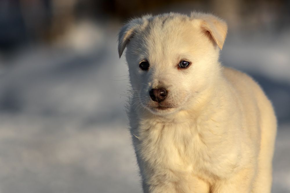 Photograph by Александр Слепцов