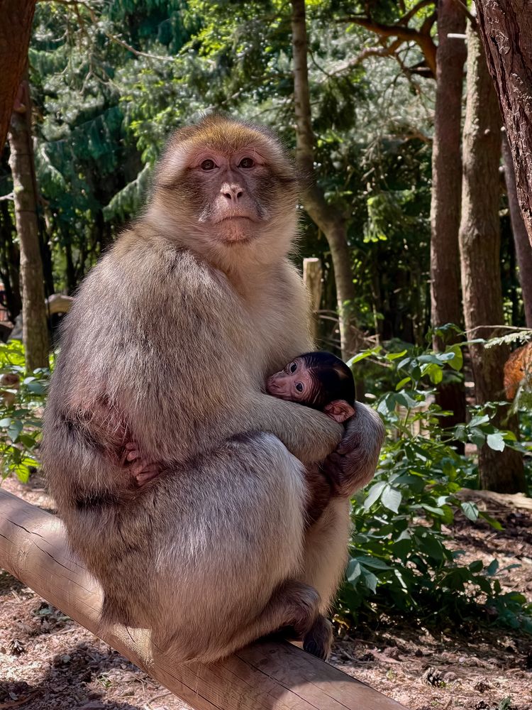 Photograph by daria eipert