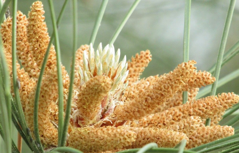 Photograph by Светлана Андреева