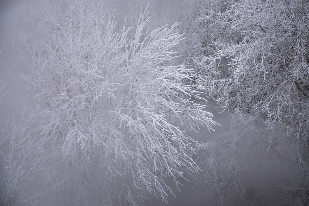 Фотография автора Войнов Дмитрий