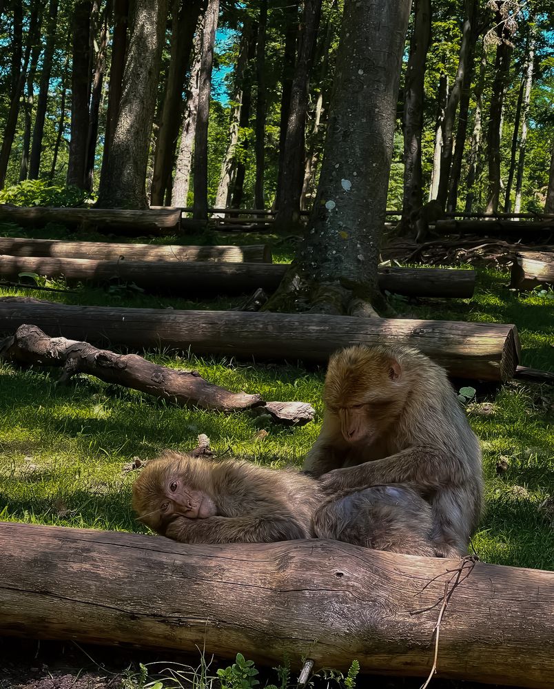 Photograph by daria eipert