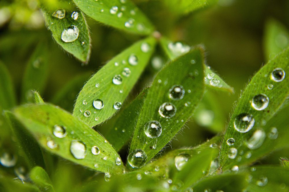 Photograph by Алексей Борисов