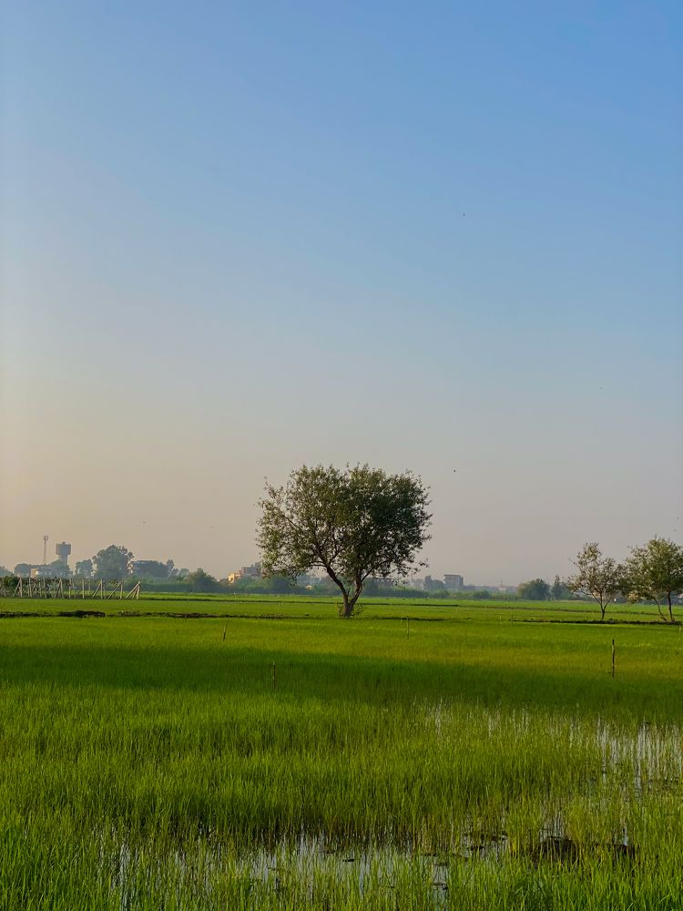 Photograph by Asmaa Mohammad Ahmed