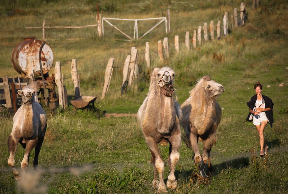 Photograph by Диана Бородзе