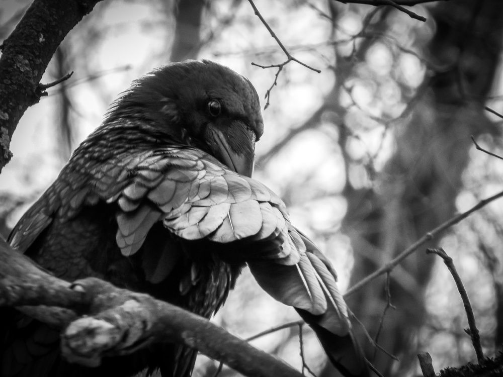 Photograph by Елена Гарипова