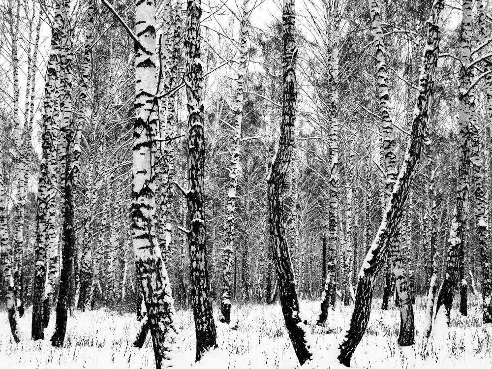 Photograph by Елена Гарипова