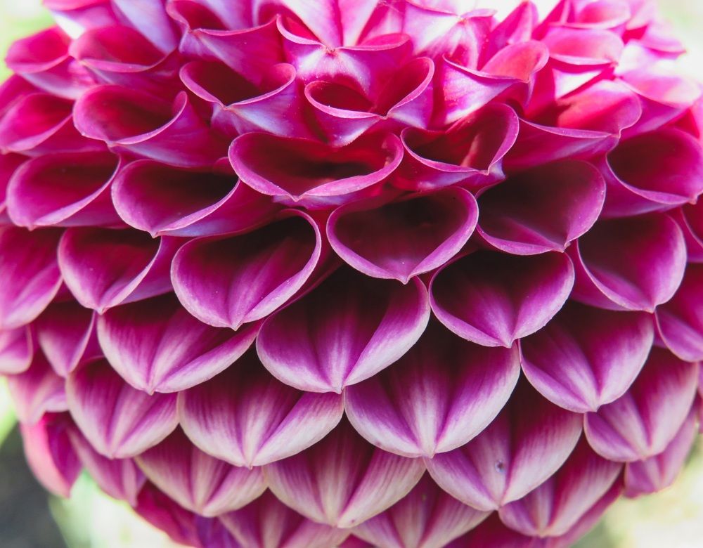 Photograph by Елена Гарипова