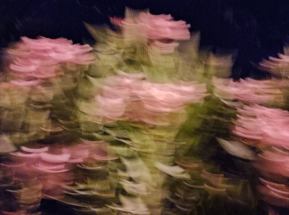 Photograph by Алеся Маклакова