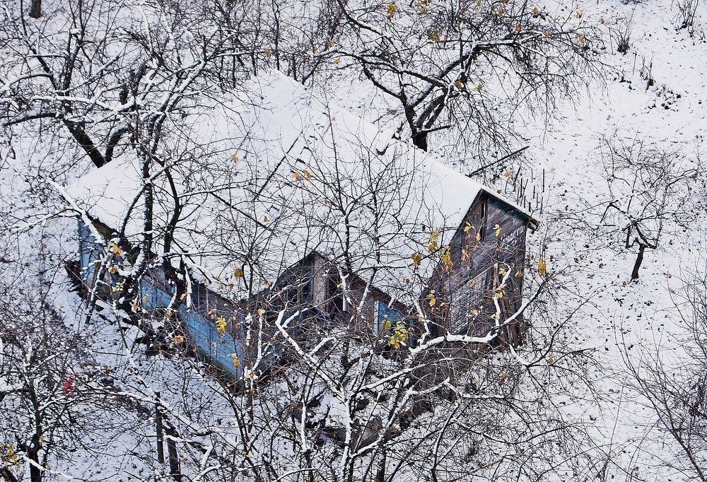 Первый снег