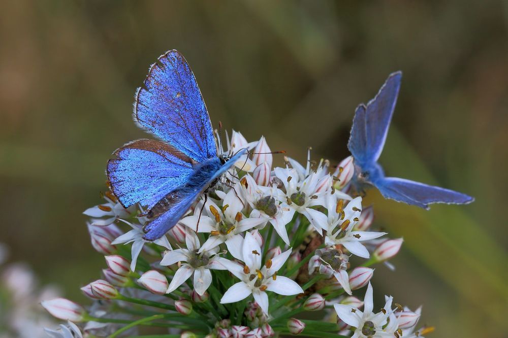 Photograph by Юрий Варюхин