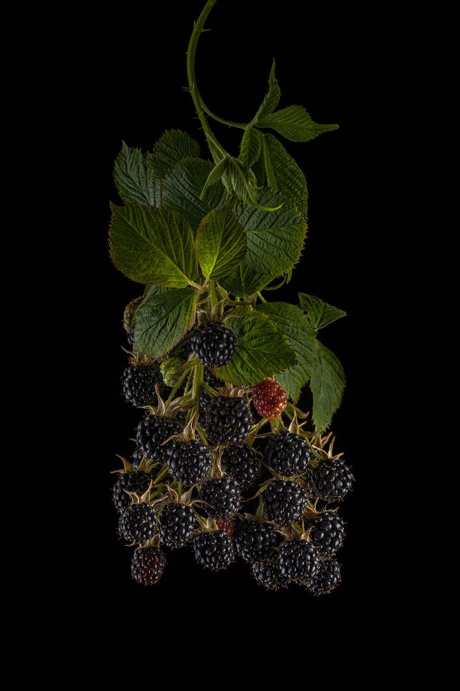 Фотография автора ЯR Ольга